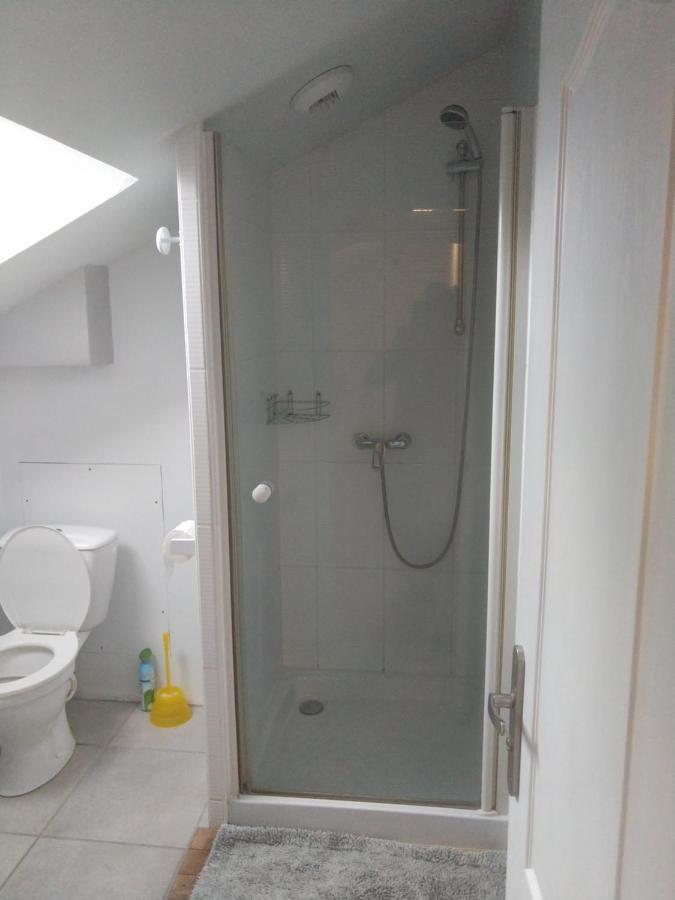 Au Bon Acceuil Apartment Channay-sur-Lathan Exterior photo